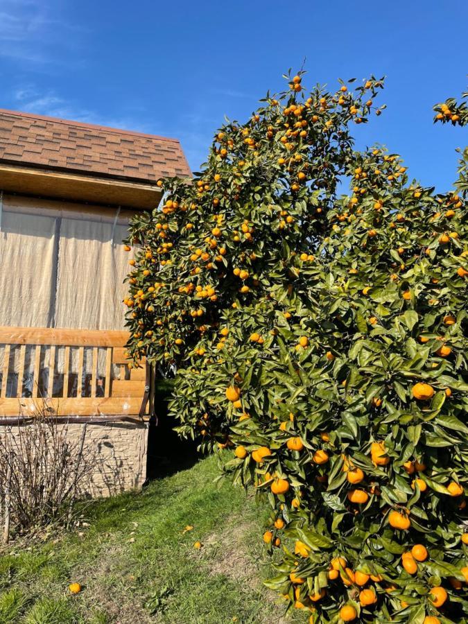 Holiday Home New Athos Экстерьер фото
